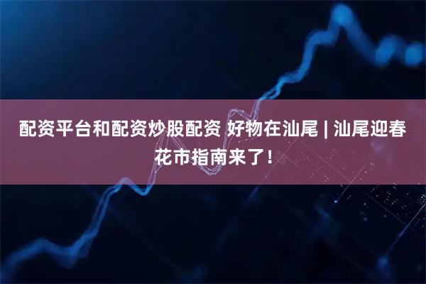 配资平台和配资炒股配资 好物在汕尾 | 汕尾迎春花市指南来了！